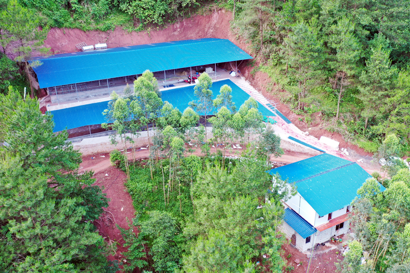 容县大公村新建养牛基地