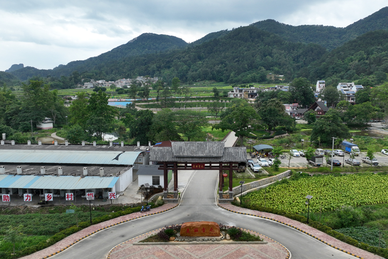 图为靖西市八德村雷屯全貌。黄丽爱摄