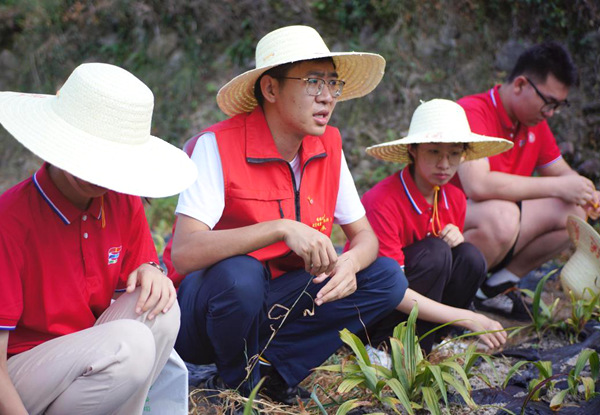 桂林理工大学驻村第一书记李学来带领实践团成员在白芨种植园区调研采样。