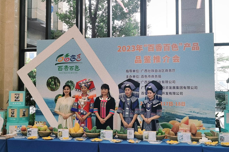 活动现场。广西商务厅供图