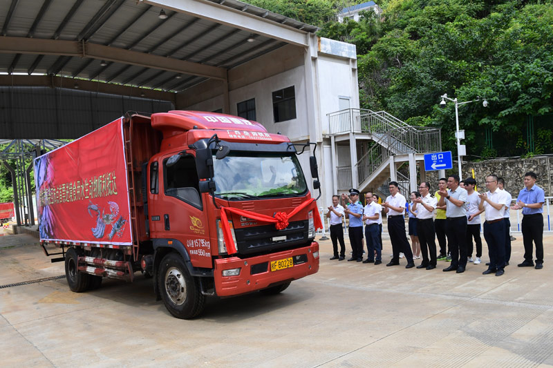 7月5日，一批重量为2吨多的越南鳙鱼从广西凭祥弄尧互市点进境。庞立坚摄