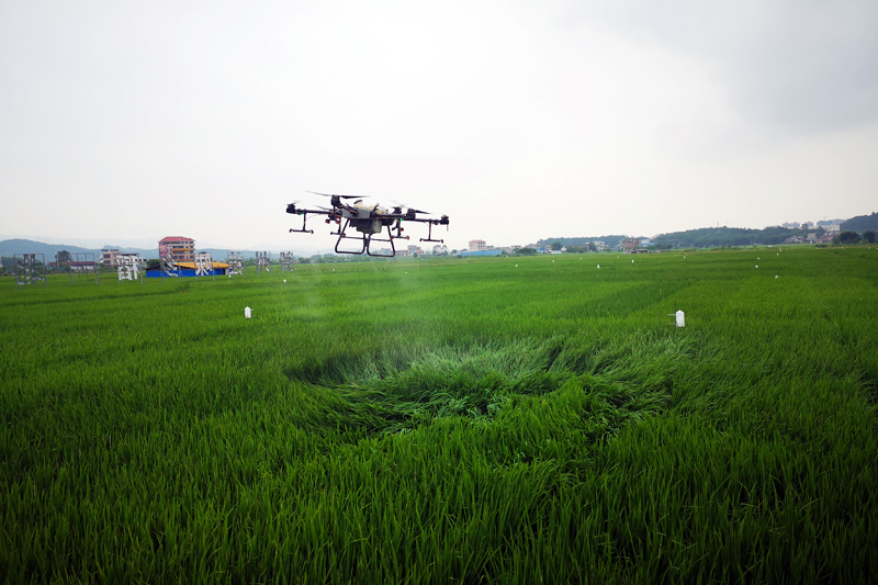 无人机开展农药投放