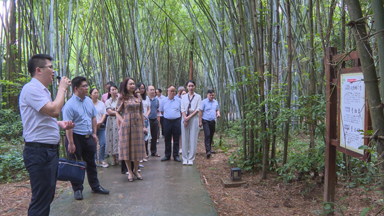 参观“家风传承线”点位——西埌镇清风竹林廉洁文化园。陈希璇摄