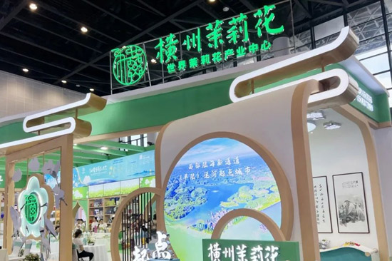 ▲横州茉莉花展位。杨思悦 摄