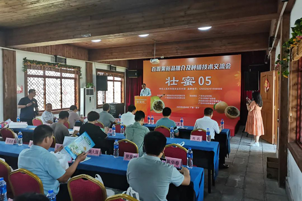 交流会现场。梁朝龙摄