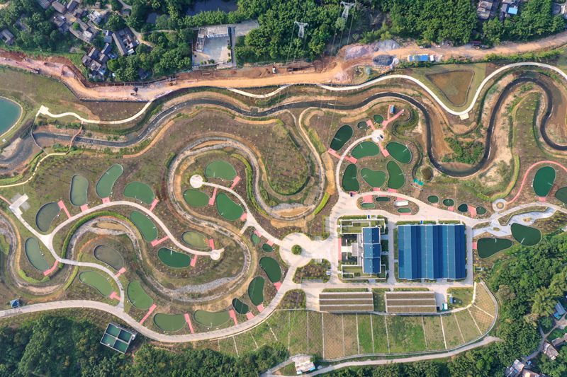 仿自然生态过鱼通道。大藤峡公司供图