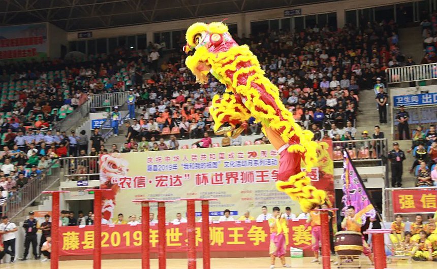 2019年中国藤县世界狮王争霸赛。藤县文化广电体育和旅游局供图