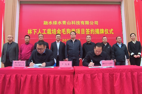 签约仪式。覃美摄