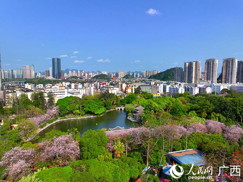 位于柳州市中心的柳侯公园。人民网 付华周摄