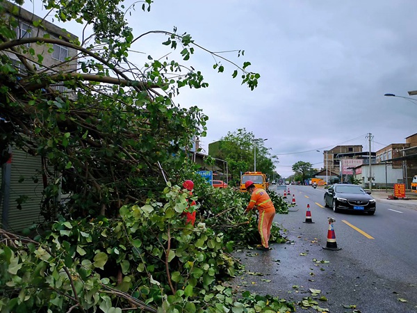 玉林城区公路养护中心养护工人在省道206线荔浦至廉江公路玉林市玉州区城北街道潘岭村路口清理倒伏树木。杨兴源摄