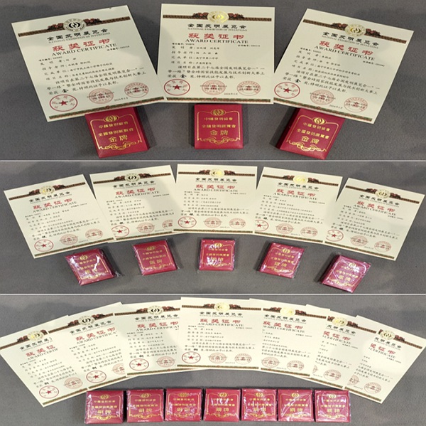 南宁市参展项目获奖证书及奖牌。南宁市科技馆供图
