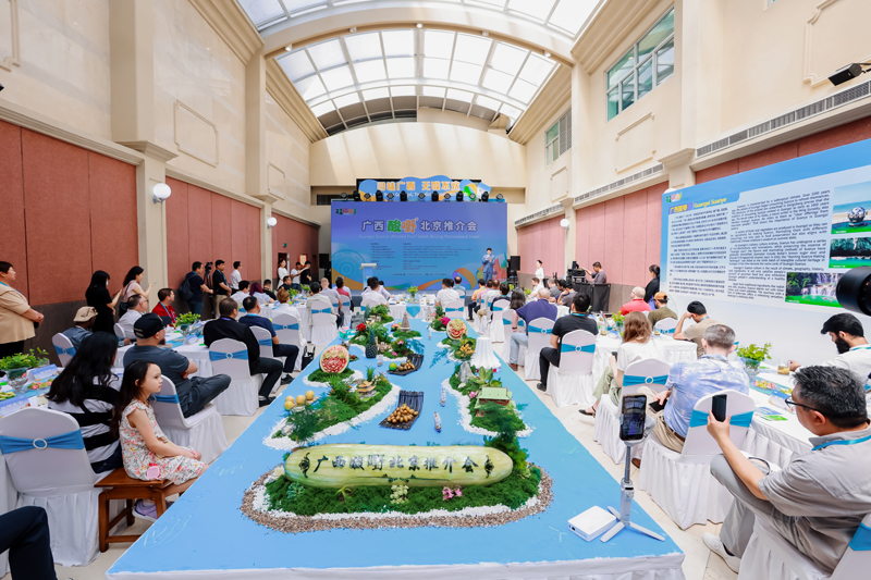 推介会现场。广西商务厅供图
