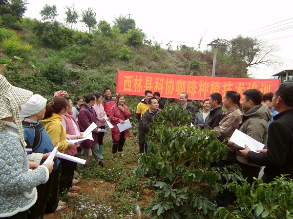 咖啡种植地现场授课。