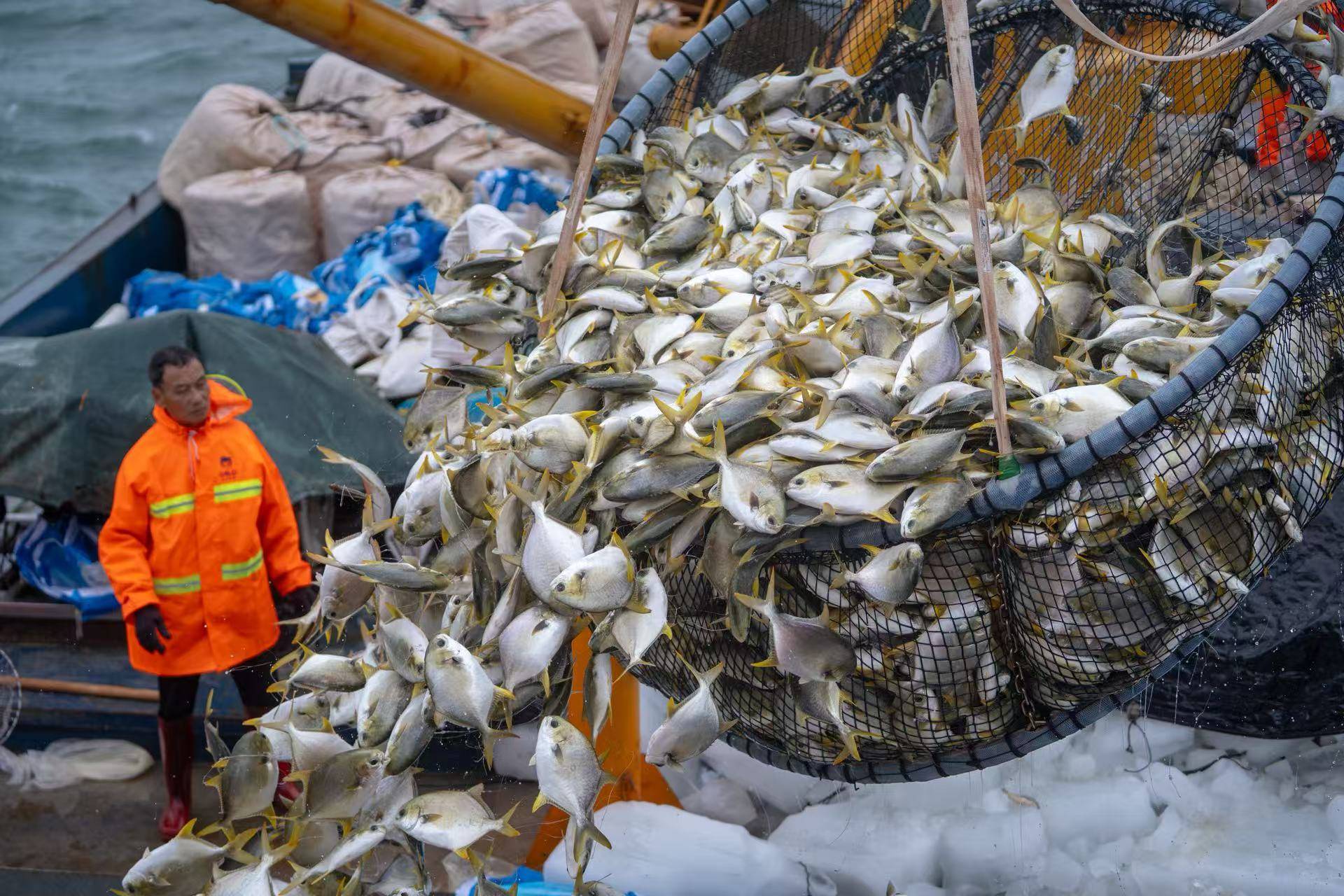 金色海洋2.jpg
