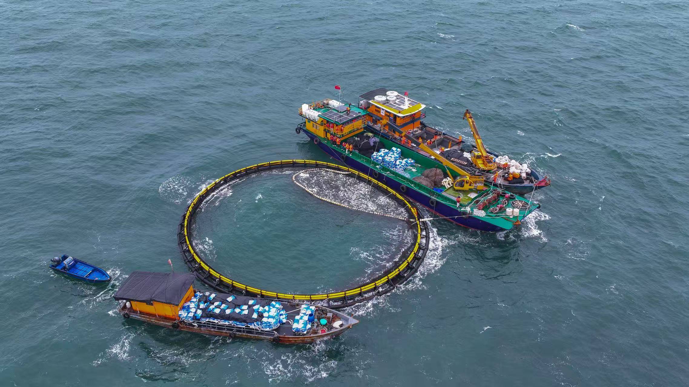 金色海洋1.jpg