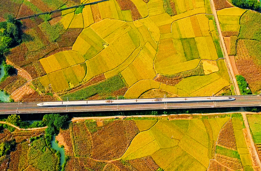 08048a52d9d93840dd0232030238b837_LOCAL1700105206350GKANVOQFN2