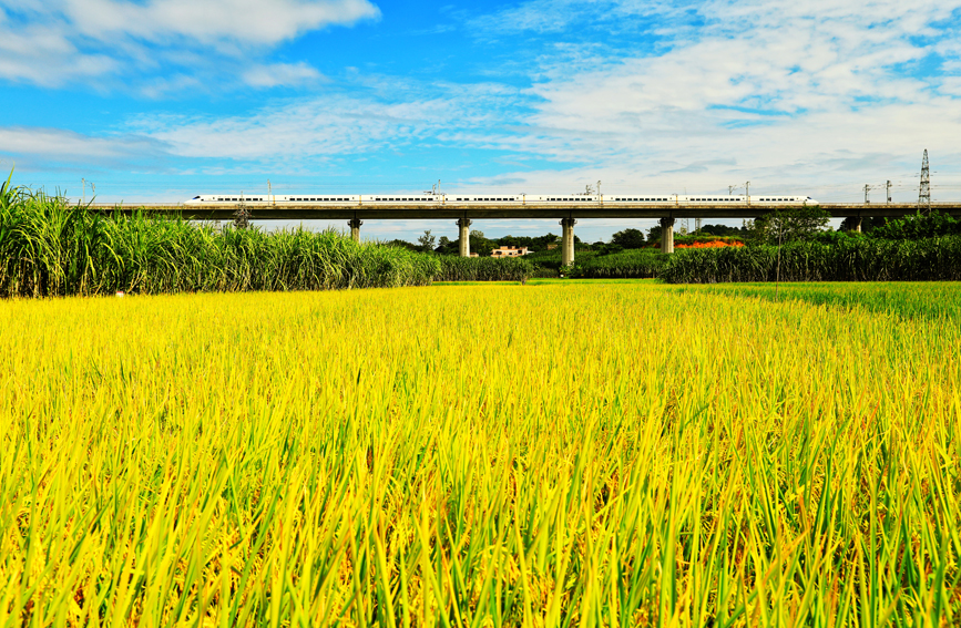 73cace5316deecc41b122375885edeed_LOCAL1700105206208CUDIJTANTF